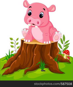 Cartoon cute baby hippo on tree stump