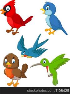 Cartoon cute birds collection set