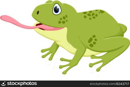 Cartoon cute frog, isolated on white background