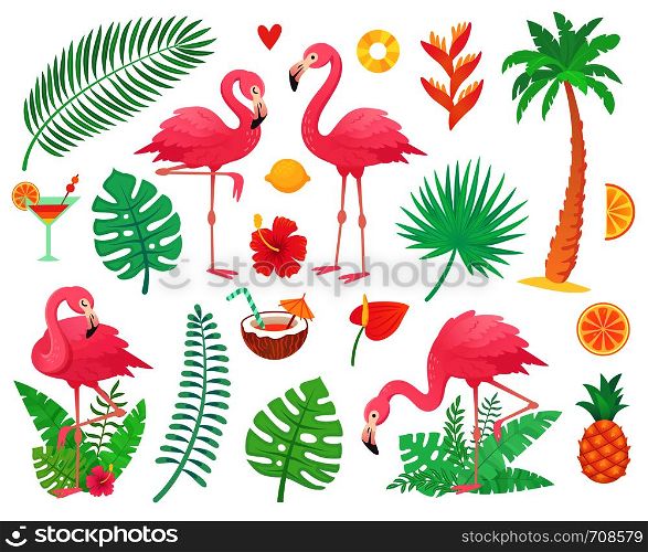 Cartoon cute pink flamingo and tropical plants. Beach palm, green african plant monstera leafs, floral rainforest flower, tropic palms leaf and rosy flamingos and summer stuff vector illustration. Pink flamingo and tropical plants. Beach palm, african plant leafs, rainforest flower, tropic palms leaf and rosy flamingos vector set