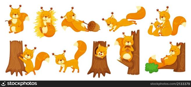 Cartoon cute squirrels sleeping, jumping, sitting on branch. Happy squirrel holding acorn, forest wildlife animal, woodland mascot vector set. Mother taking care of child, playing character. Cartoon cute squirrels sleeping, jumping, sitting on branch. Happy squirrel holding acorn, forest wildlife animal, woodland mascot vector set