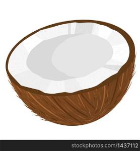 Cartoon detailed brown exotic half coconut isolated on white background. Summer fruits for healthy lifestyle. Organic fruit. Cartoon style. Vector illustration for any design. Cartoon detailed brown exotic half coconut isolated on white background. Summer fruits for healthy lifestyle. Organic fruit. Cartoon style. Vector illustration for any design.