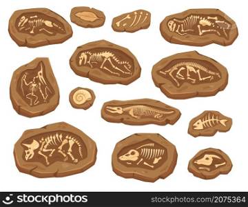 Cartoon dinosaurs fossils, ancient triceratops dinosaur skeleton. Ammonite and leaf fossil, paleontological excavation elements vector set. Large and small animal bones digging for museum. Cartoon dinosaurs fossils, ancient triceratops dinosaur skeleton. Ammonite and leaf fossil, paleontological excavation elements vector set