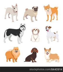 Cartoon dog breeds flat icon collection. Happy pet vector illustration set. Corgi, Basenji, Dachshund, malamute, Samoyed. Mammals and animals concept.