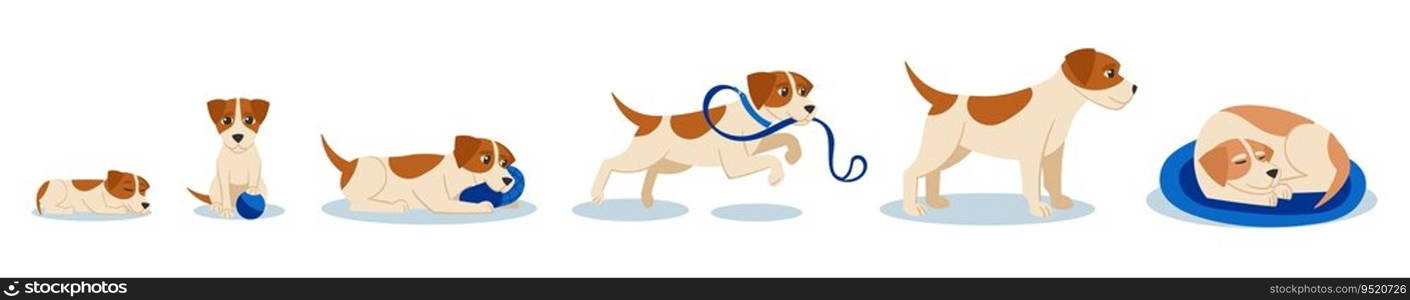 Cartoon dog life sta≥s. Cute puppy, adu<and senior dog. Beag≤pet timeli≠journal vector illustration of character dog domestic, development growth. Cartoon dog life sta≥s. Cute puppy, adu<and senior dog. Beag≤pet timeli≠journal vector illustration