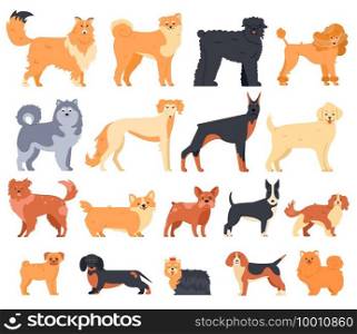 Cartoon dogs. Cute sitting puppies set of various breed. Doberman, malamute and labrador, poodle and corgi isolated pets vector characters. Group of pedigree domestic animals isolated. Cartoon dogs. Cute sitting puppies set of various breed. Doberman, malamute and labrador, poodle and corgi isolated pets vector characters