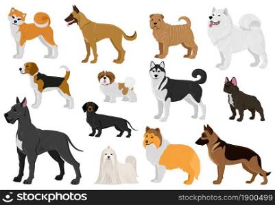 Cartoon dogs different breeds, funny domestic puppy pets. Husky, beagle, great dane, french bulldog and maltese dogs vector illustration set. Cute different breeds dogs. Domestic doggy pet dogs. Cartoon dogs different breeds, funny domestic puppy pets. Husky, beagle, great dane, french bulldog and maltese dogs vector illustration set. Cute different breeds dogs