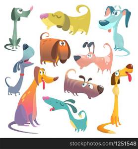 Cartoon dogs set. Vector illustrations of dogs. Retriever, dachshund, terrier, pitbull, spaniel, bulldog, basset hound, afghan hound, borzoi