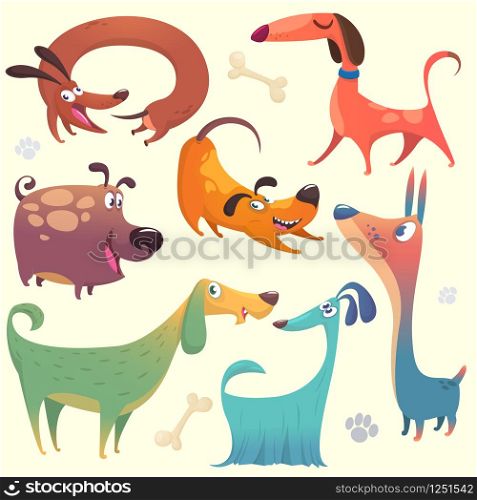 Cartoon dogs set. Vector illustrations of dogs. Retriever, dachshund, terrier,pitbull, spaniel, bulldog, basset hound, afghan hound, borzoi