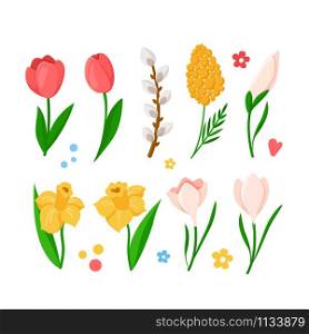 Cartoon Easter Day spring flowers set - tulips, daffodil, narcissus, mimosa, snowdrop, willow branch, isolated items on white for greeting cards, poster, print, fresh spring plants - vector. cartoon easter day set