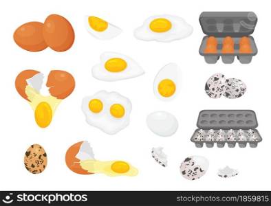 Cartoon farm fresh chicken and quail eggs in packages. Broken, raw, fried and hard boiled egg half with yolk. Eggs for breakfast vector set. Healthy dieting, meal or dish with protein