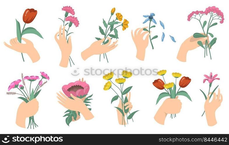 Cartoon female hands holding flower bouquets. Set of tulips, carnations, fresh garden and field flowers. Vector illustrations for blossom, romantic decoration, flora concept