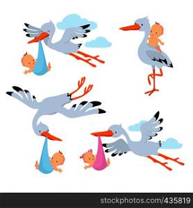 Cartoon flying storks and stork birds carrying baby vector set. Stork bird with baby, flying and carrying in beak illustration. Cartoon flying storks and stork birds carrying baby vector set