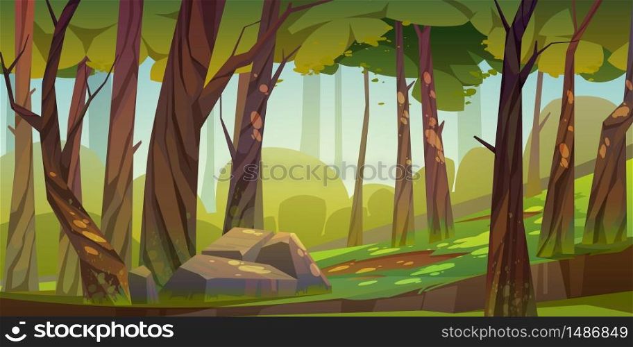 Cartoon forest background, nature landscape with deciduous trees, moss on trunks and rocks, green grass, bushes and sunlight spots on ground. Scenery view, summer or spring wood vector illustration. Cartoon forest background, nature park landscape