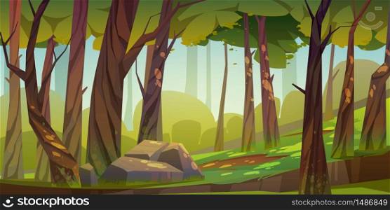 Cartoon forest background, nature landscape with deciduous trees, moss on trunks and rocks, green grass, bushes and sunlight spots on ground. Scenery view, summer or spring wood vector illustration. Cartoon forest background, nature park landscape