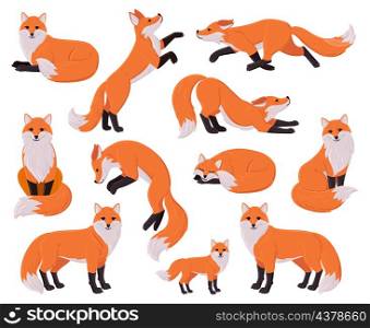 Cartoon foxes, forest red cute fox character. Woodland animal, forest wildlife predator sleeping, running, jumping vector illustration set. Funny red fox mascot. Orange animal in different poses. Cartoon foxes, forest red cute fox character. Woodland animal, forest wildlife predator sleeping, running, jumping vector illustration set. Funny red fox mascot