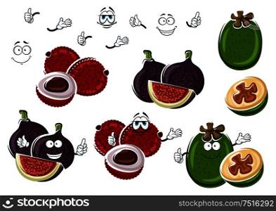 Cartoon fresh fig, exotic lychee and green tropical feijoa fruits isolated on white. Funny fruits characters for vegetarian exotic dessert, tropical cocktail recipe design usage. Tropical fig, lychee and feijoa fruits