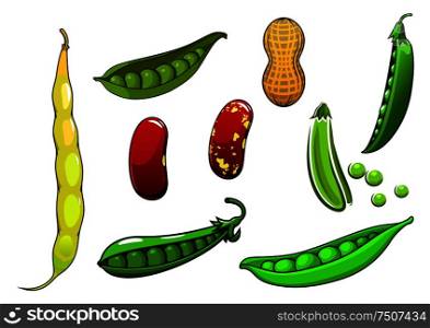 Cartoon fresh legumes and vegetables with peas in a pod, long and red beans, peanut. Cartoon fresh legumes and vegetables
