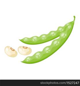 Cartoon fresh organic green beans icon. vector illustration.