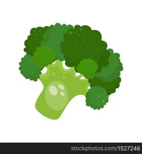 Cartoon fresh organic green broccoli icon. vector illustration.