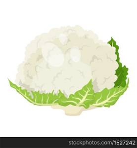 Cartoon fresh organic green cauliflower icon. vector illustration.
