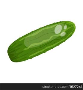 Cartoon fresh organic green cucumber icon. vector illustration.