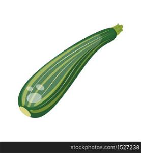 Cartoon fresh organic green zucchini icon. vector illustration.