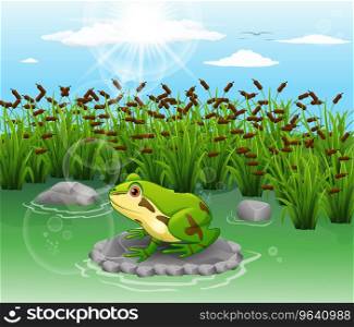 Cartoon frog cute scenery Royalty Free Vector Image