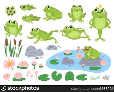 Cartoon frogs. Green cute frog, egg masses, tadpole and froglet. Aquatic plants water lily leaf, toads wild nature life vector set. Reed and flowers. Character on pond catching insect. Cartoon frogs. Green cute frog, egg masses, tadpole and froglet. Aquatic plants water lily leaf, toads wild nature life vector set