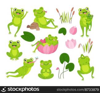 Cartoon frogs. Green frog on pond hold tadpole, water toad rest in flower. Wild lily or lotus leaves, aquatic vector animal in nature. Illustration of frog in pond, tadpole and cartoon&hibian. Cartoon frogs. Green frog on pond hold tadpole, cute water toad rest in flower. Wild lily or lotus leaves, isolated neoteric aquatic vector animal in nature