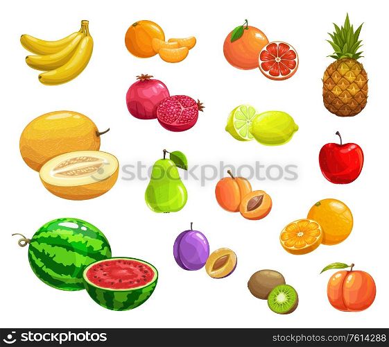 Cartoon fruits vector pineapple, peach and banana, pomegranate and pear. Watermelon, melon, kiwi and lime, lemon, apricot and orange, apple with grapefruit and prune. Natural ripe fresh fruits icons. Cartoon fruit vector natural ripe fresh food icons