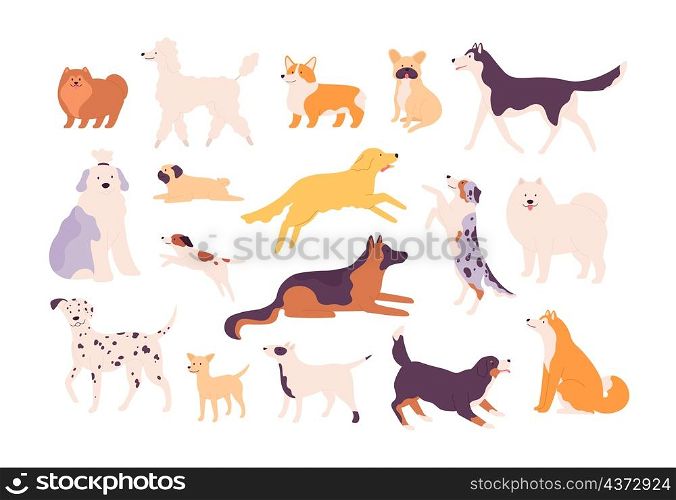 Cartoon funny breed dogs in poses, dalmatian, corgi and bulldog. Sitting, standing and jumping pet. Labrador, samoyed and poodle vector set. Illustration of funny pet popular, doggy friend. Cartoon funny breed dogs in poses, dalmatian, corgi and bulldog. Sitting, standing and jumping pet. Labrador, samoyed and poodle vector set