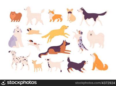 Cartoon funny breed dogs in poses, dalmatian, corgi and bulldog. Sitting, standing and jumping pet. Labrador, samoyed and poodle vector set. Illustration of funny pet popular, doggy friend. Cartoon funny breed dogs in poses, dalmatian, corgi and bulldog. Sitting, standing and jumping pet. Labrador, samoyed and poodle vector set