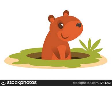 Cartoon funny groundhog popped out of his hole. Vector illustration isolated