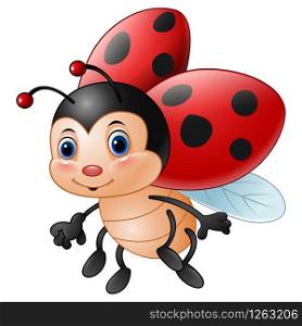 Cartoon funny ladybug