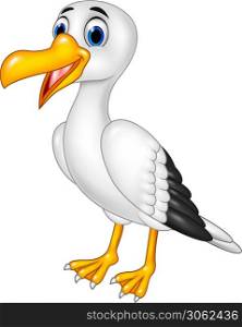 Cartoon funny seagull posing isolated on white background