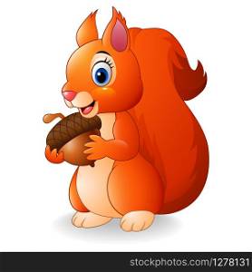Cartoon funny squirrel holding acorn