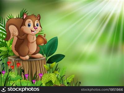Cartoon funny squirrel holding pine cone and standing on tree stump with green plants