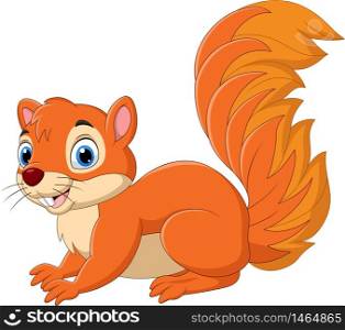Cartoon funny squirrel isolated on white background