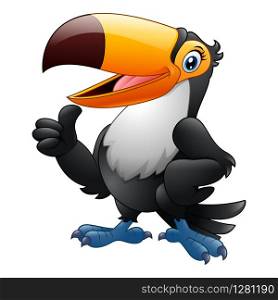 Cartoon funny toucan giving thumb up isolated on white background