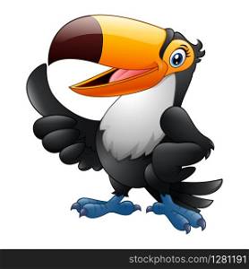 Cartoon funny toucan giving thumb up isolated on white background