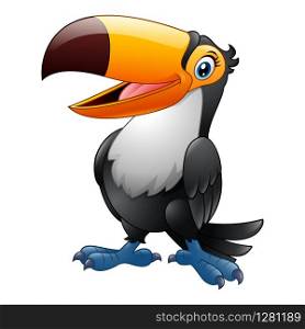 Cartoon funny toucan isolated on white background