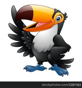 Cartoon funny toucan waving wing isolated on white background