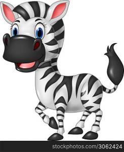 Cartoon funny zebra posing isolated on white background