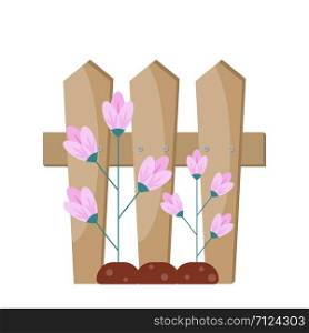Cartoon garden fance with blossom pink flowers, vector illustration