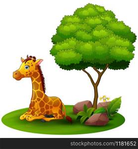 Cartoon giraffe sitting under a tree on a white background