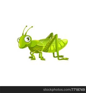 Cartoon grasshopper vector icon, funny locust insect with cute face and big eyes. kids club or pest control service mascot, design element, wild creature isolated on white background. Cartoon grasshopper, locust insect vector icon
