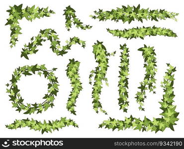 Cartoon green ivy. Creeper tree foliage border, garden decoration divider and hanging vine plant branches vector set. Botanical floral vegetation, growing wild twigs for frames isolated collection. Cartoon green ivy. Creeper tree foliage border, garden decoration divider and hanging vine plant branches vector set