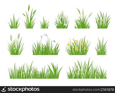 Cartoon green meadow grass with flower, herbs and spike ears. Spring garden lawn horizontal borders. Field fresh natural grass vector set. Summer plants with wildflowers blossom isolated elements. Cartoon green meadow grass with flower, herbs and spike ears. Spring garden lawn horizontal borders. Field fresh natural grass vector set