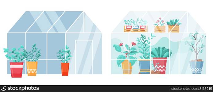 Cartoon greenhouse. Garden green plants in house of glass, cultivated in pots and soil, glasshouse for growing plants. Vector set gardening planting vegetables in greenhouses. Cartoon greenhouse. Garden green plants in house of glass, cultivated in pots and soil, glasshouse for growing plants. Vector set
